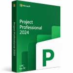 Microsoft Project Professional 2024